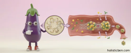 Eggplant: The Natural Magnet